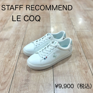 STAFF RECOMMEND！