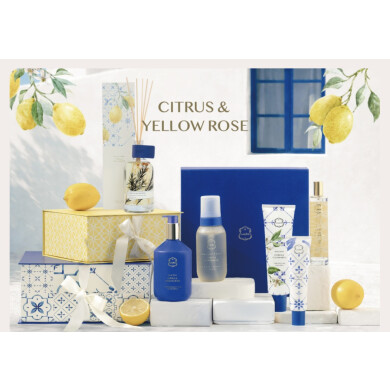【4/10〜】Citrus & Yellow Rose新登場💛